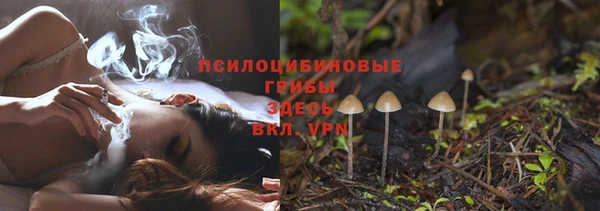 МДПВ Осинники