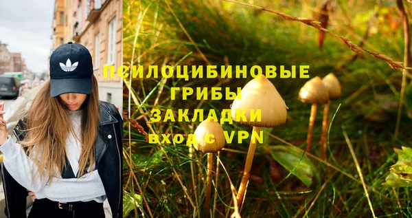 соль ск Осташков
