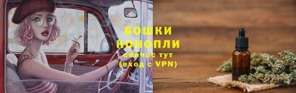 PSILOCYBIN Валдай