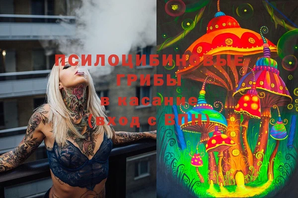 ГАЛЛЮЦИНОГЕННЫЕ ГРИБЫ Новокубанск