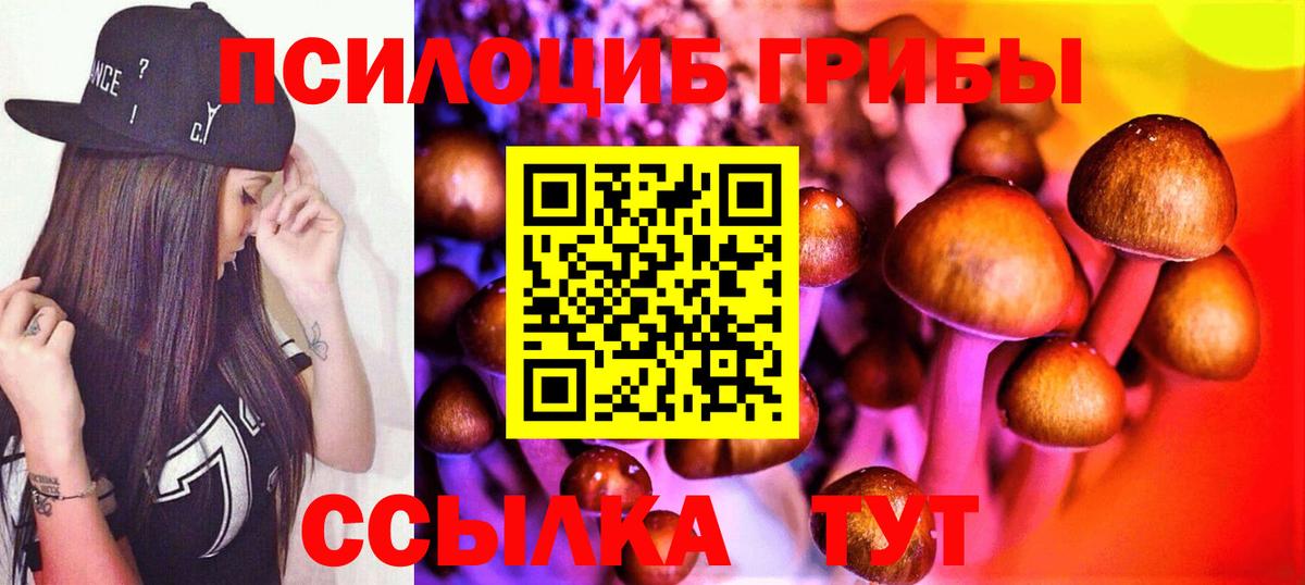 Псилоцибиновые грибы прущие грибы Лесозаводск